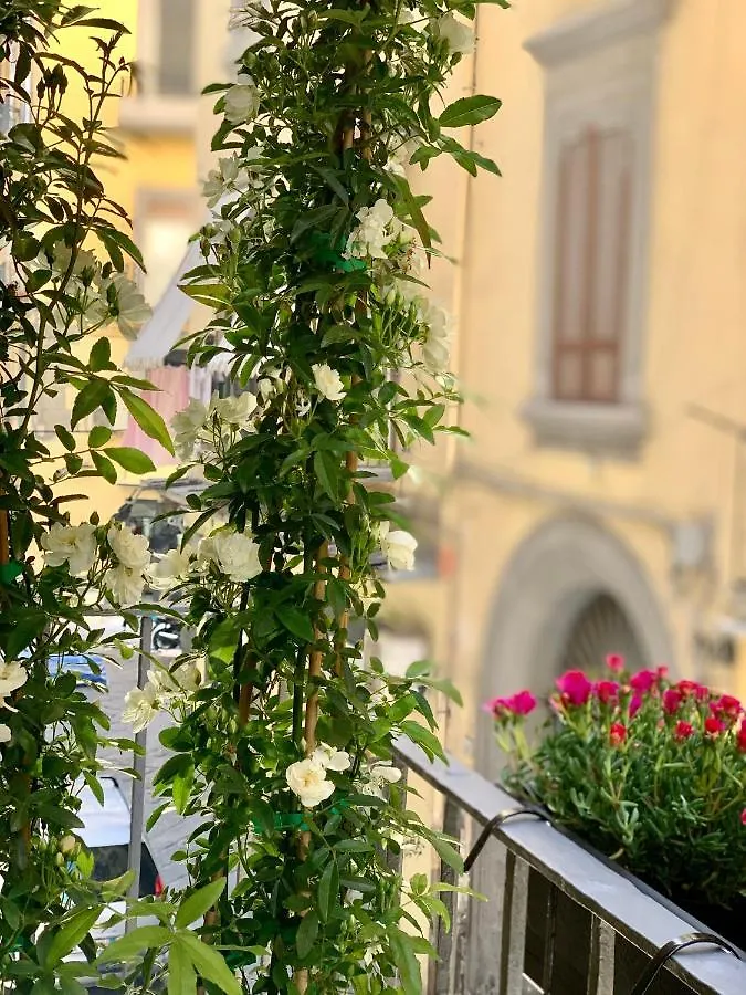 Toledo Boutique Rooms Naples
