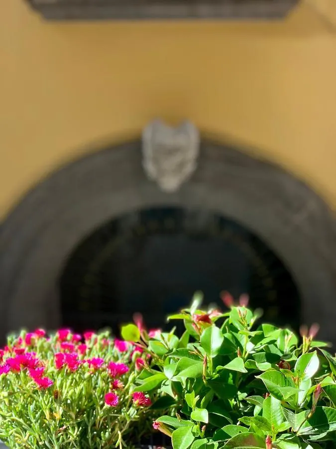 Toledo Boutique Rooms Naples 0*,