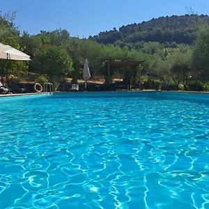 https://agriturismo-poggio-allolmo.it-tuscanyhotel.com